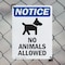 Signmission No Animals Allowed, 10 in W x Rectangle, Plastic OS-2PACK-NS-P-1014-V-14375 - alternate 3
